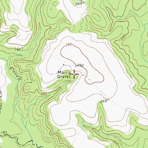 Topographic Map of Morris Graves, GA