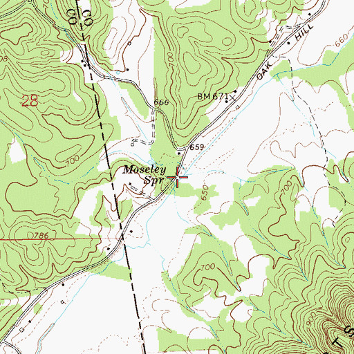Topographic Map of Moseley Springs, GA