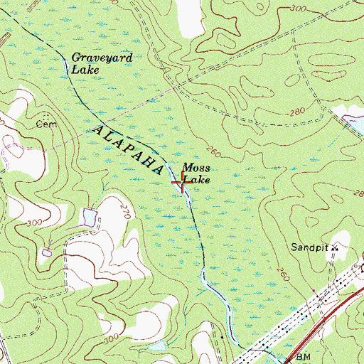 Topographic Map of Moss Lake, GA