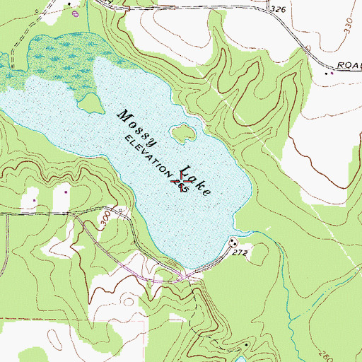 Topographic Map of Mossy Lake, GA