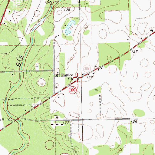 Topographic Map of Mount Eunice Church, GA
