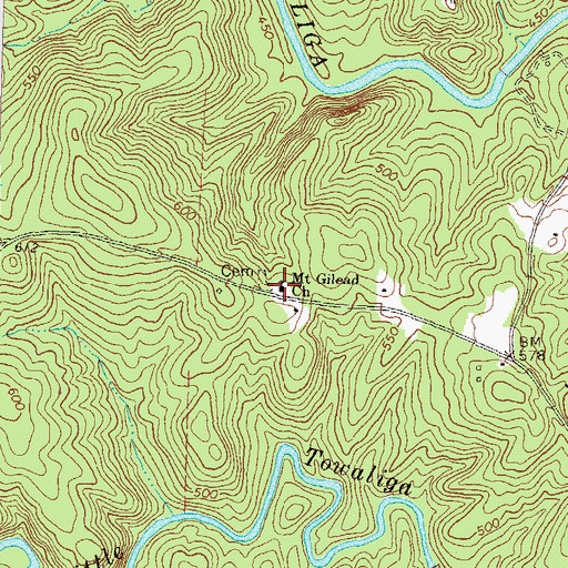 Topographic Map of Mount Gilead Church, GA