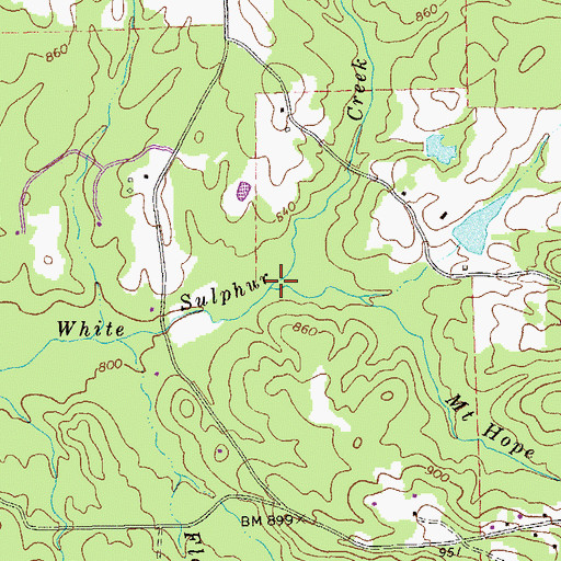 Topographic Map of Mount Hope Branch, GA