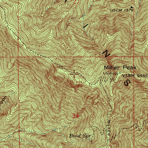 Topographic Map of Miller Peak Trail, AZ
