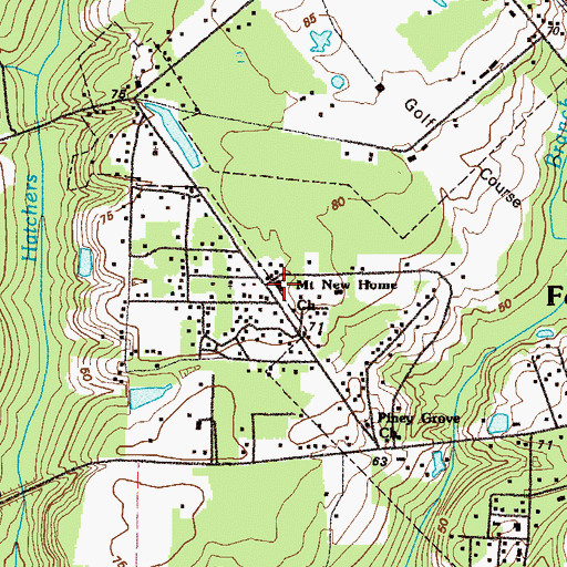 Topographic Map of Mount New Home Church, GA