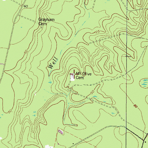 Topographic Map of Mount Olive Cemetery, GA