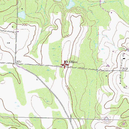 Topographic Map of Mount Olive Church, GA