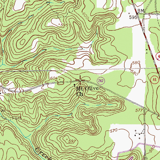 Topographic Map of Mount Olive Church, GA