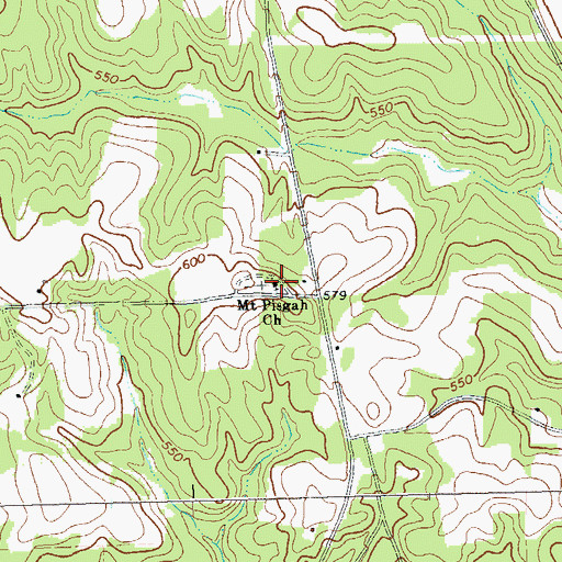 Topographic Map of Mount Pisgah Church, GA