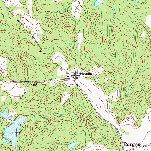 Topographic Map of Mount Pleasant Church, GA