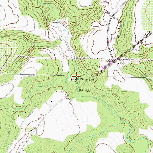 Topographic Map of Mount Pleasant Church, GA