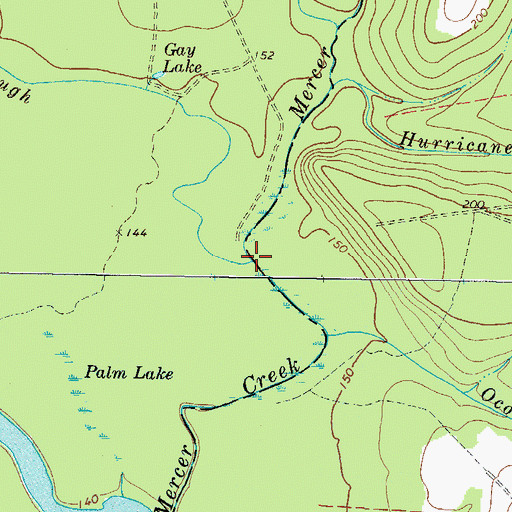 Topographic Map of Muddy Slough, GA