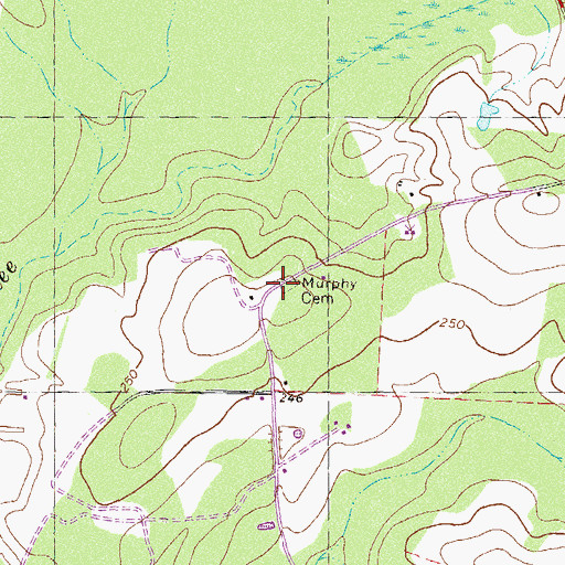 Topographic Map of Shade Murphy Cemetery, GA
