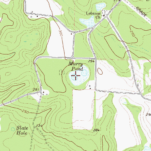Topographic Map of Murry Pond, GA