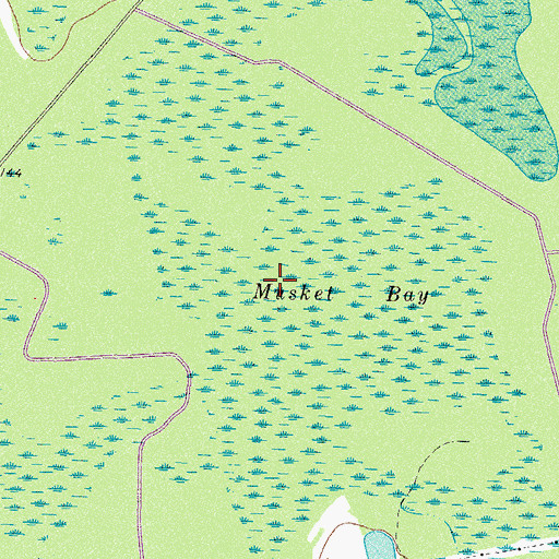 Topographic Map of Musket Bay, GA