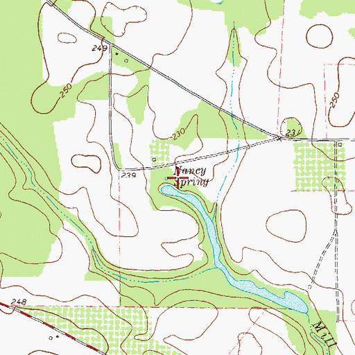 Topographic Map of Nancy Spring, GA