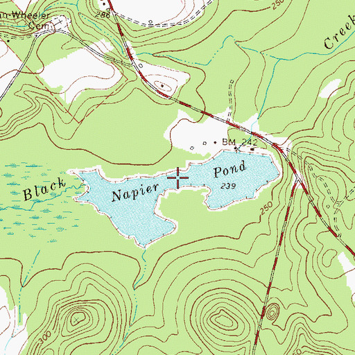 Topographic Map of Napier Pond, GA