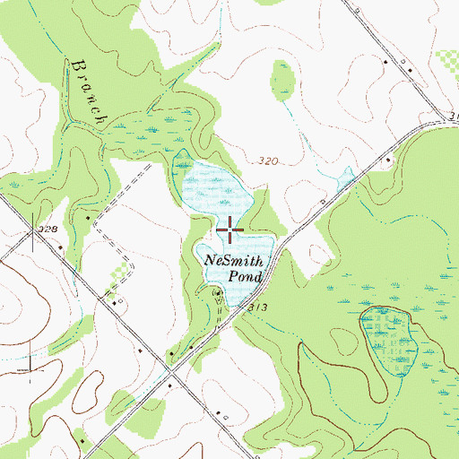 Topographic Map of Nesmith Pond, GA