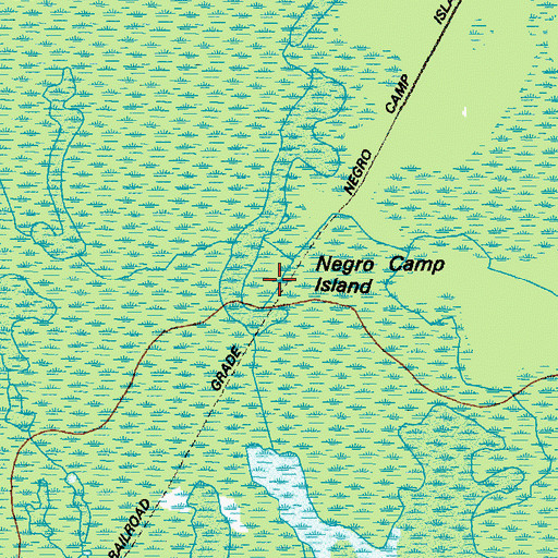 Topographic Map of Negro Camp Island, GA