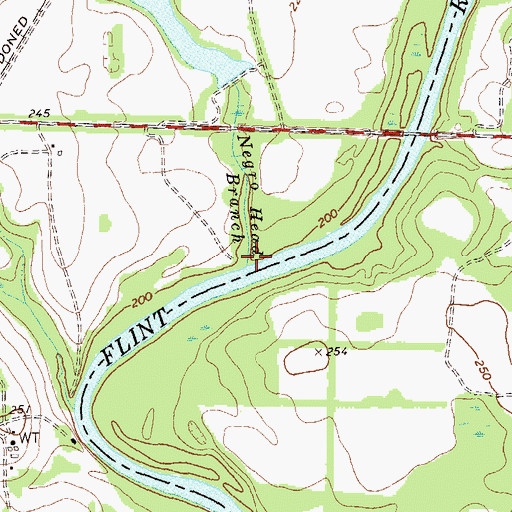 Topographic Map of Negro Head Branch, GA