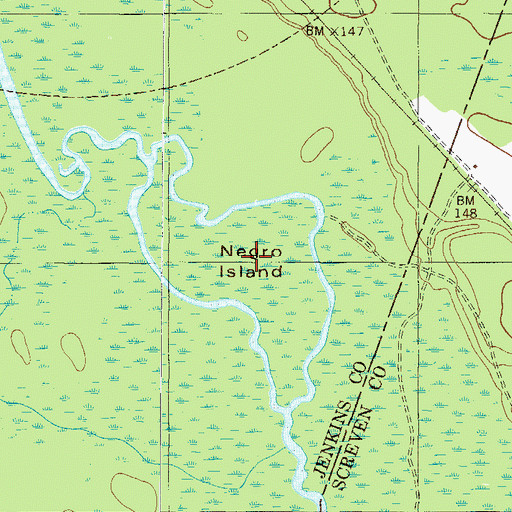 Topographic Map of Negro Island, GA