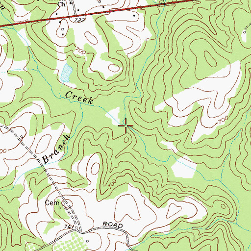 Topographic Map of Nelson Creek, GA