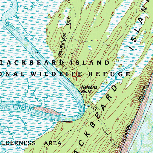 Topographic Map of Nelsons Bluff, GA