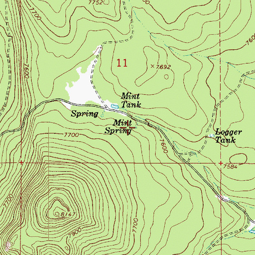 Topographic Map of Mint Spring, AZ