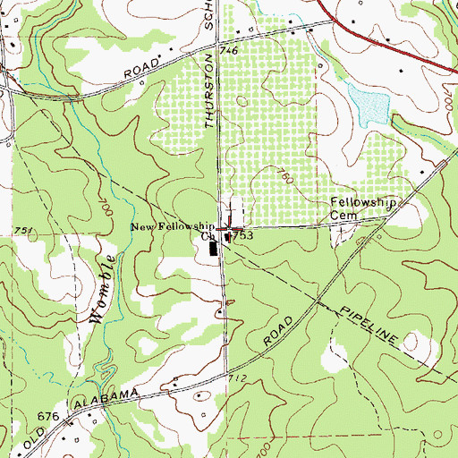 Topographic Map of New Fellowship Church, GA