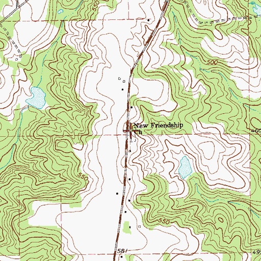 Topographic Map of New Friendship Church, GA