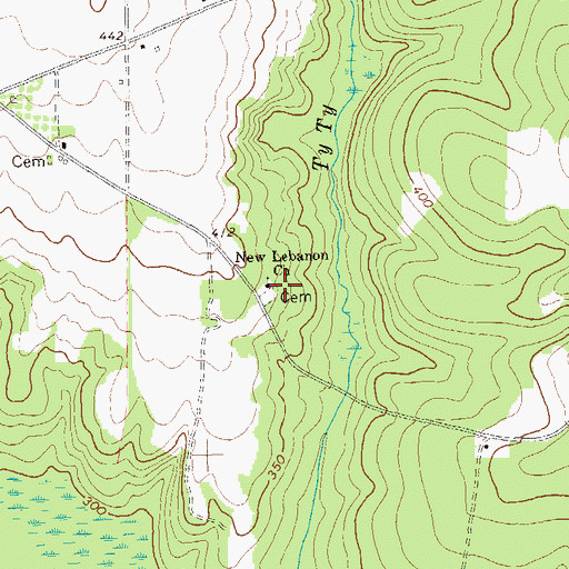 Topographic Map of New Lebanon Church, GA