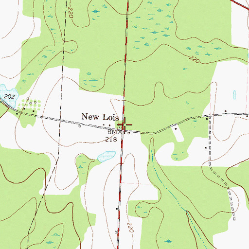 Topographic Map of New Lois, GA