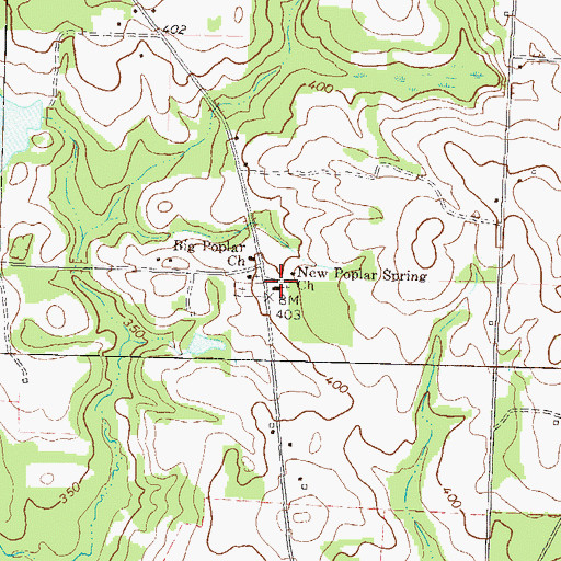 Topographic Map of New Poplar Spring Church, GA