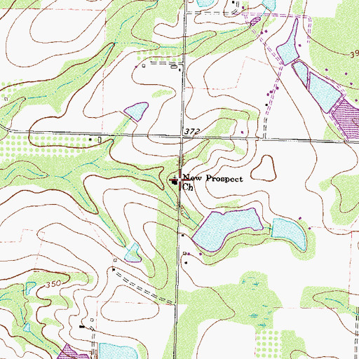 Topographic Map of New Prospect Church, GA