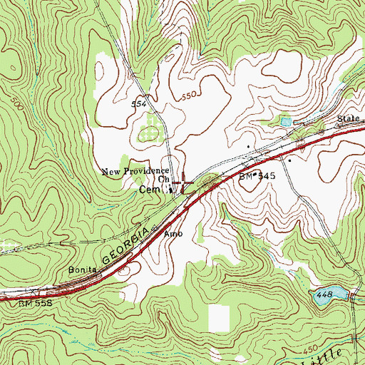 Topographic Map of New Providence Church, GA