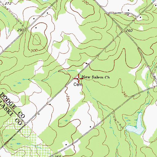 Topographic Map of New Salem Church, GA