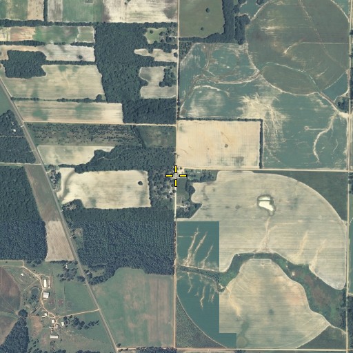 Aerial/Satellite Image of Newberry Church, GA