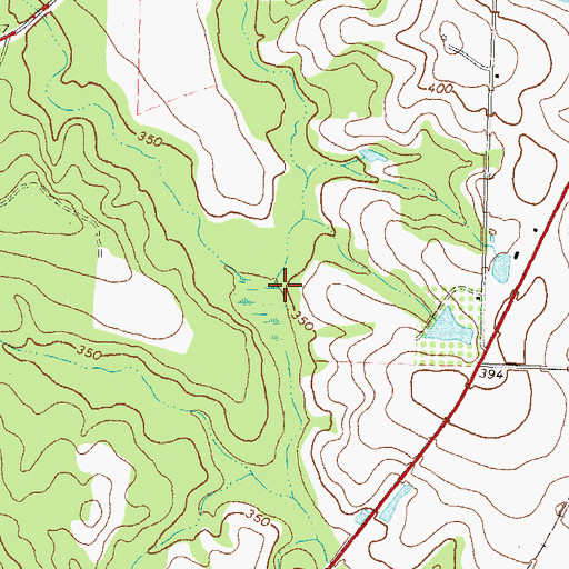 Topographic Map of Newell Branch, GA