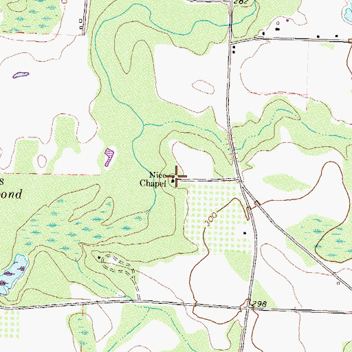 Topographic Map of Nice Chapel, GA