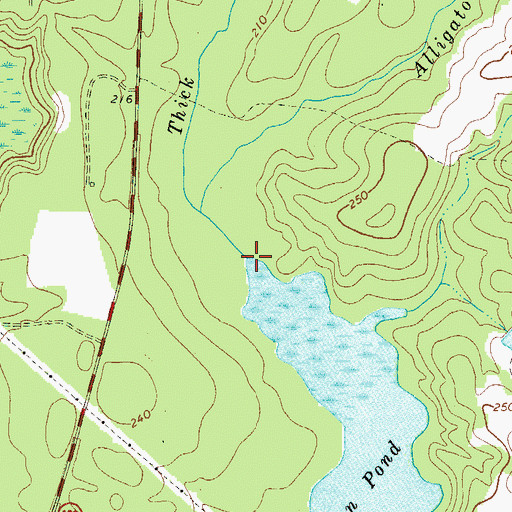 Topographic Map of Thick Creek, GA