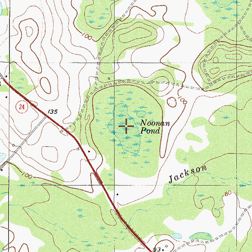 Topographic Map of Noonan Pond, GA