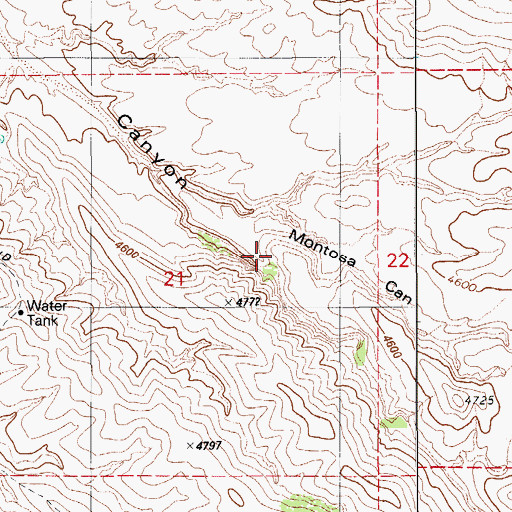 Topographic Map of Montosa Canyon, AZ
