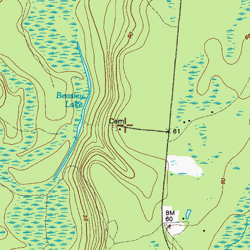 Topographic Map of Oak Grove Baptist Church, GA
