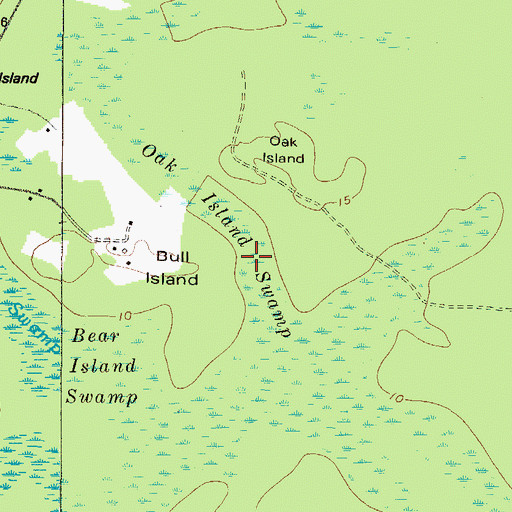 Topographic Map of Oak Island Swamp, GA