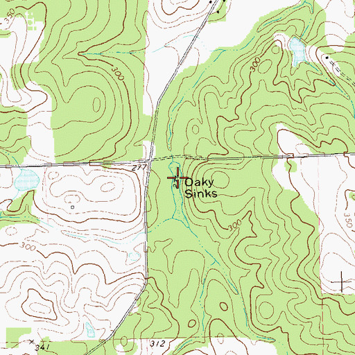 Topographic Map of Oaky Sinks, GA