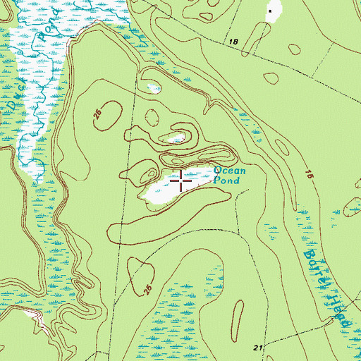 Topographic Map of Ocean Pond, GA