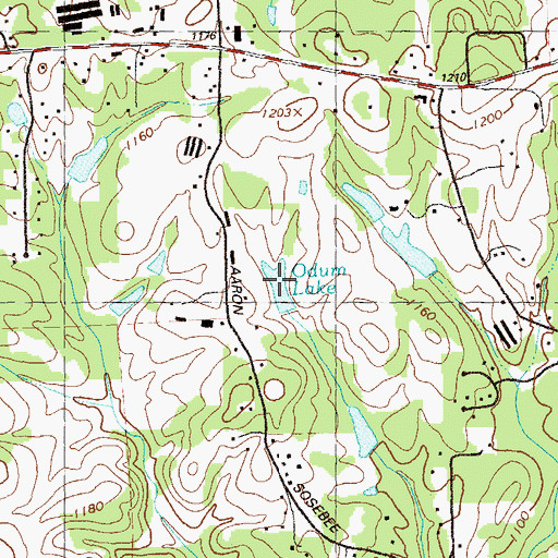 Topographic Map of Odum Lake, GA