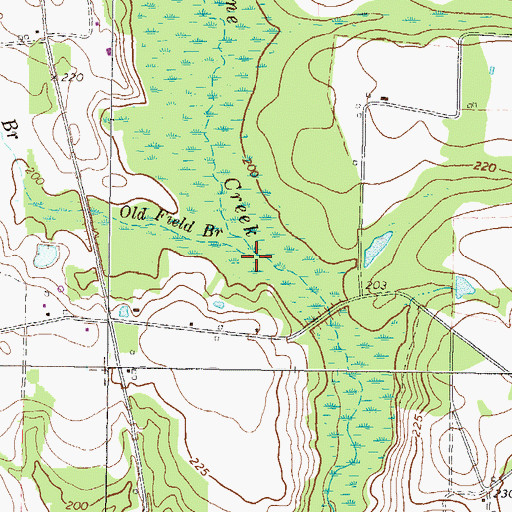 Topographic Map of Old Field Branch, GA