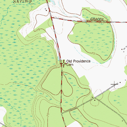 Topographic Map of Old Providence Cemetery, GA