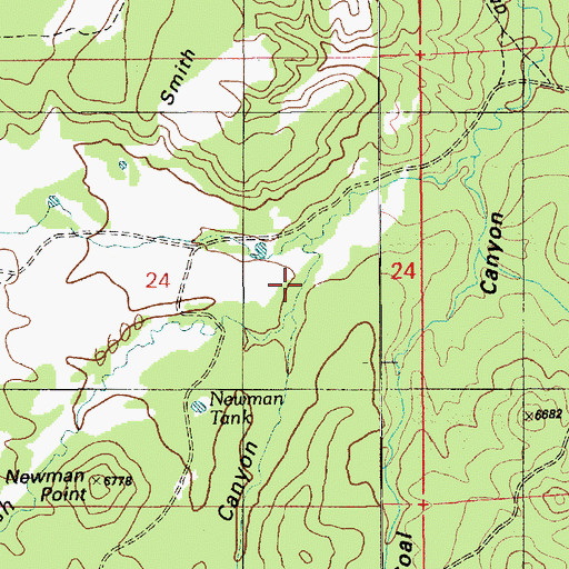 Topographic Map of Moore Canyon, AZ